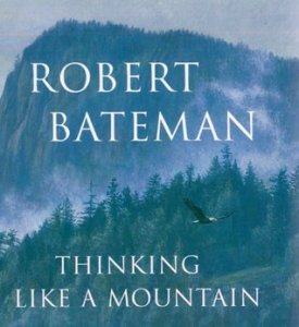 RobertBatemanMountain